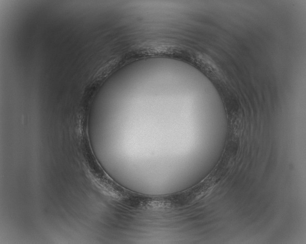 X0000073700546200608241420