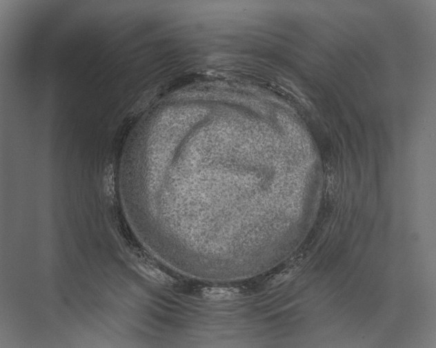 X0000073700549200608241420