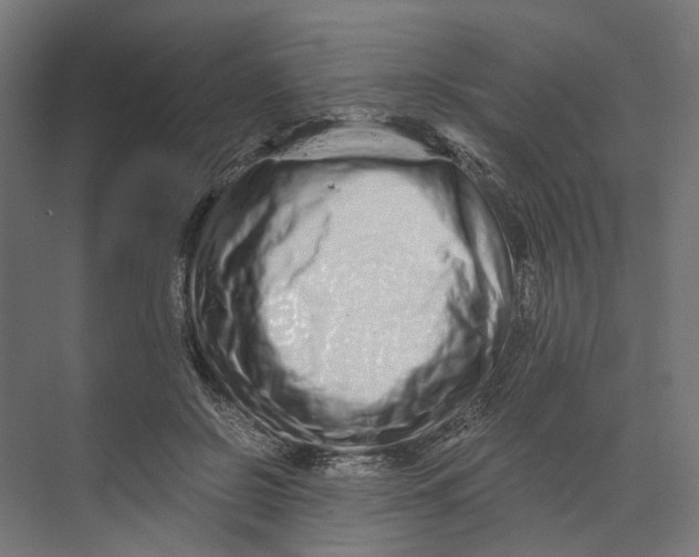 X0000073700550200608241420