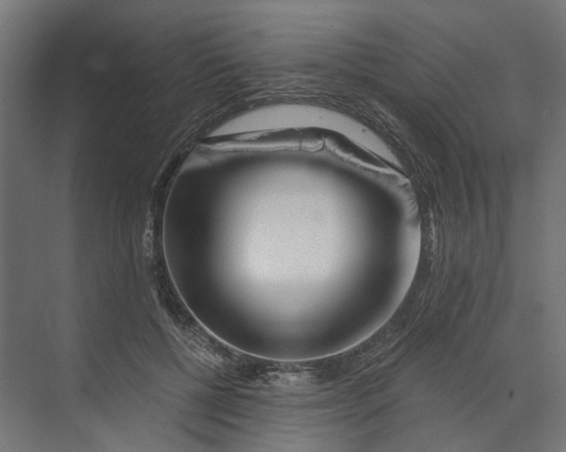 X0000073700552200608241420