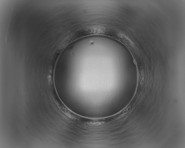 X0000073700553200608241420