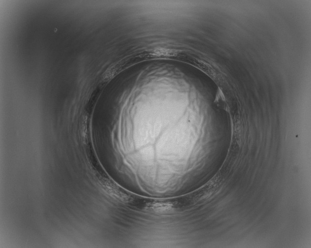 X0000073700554200608241420