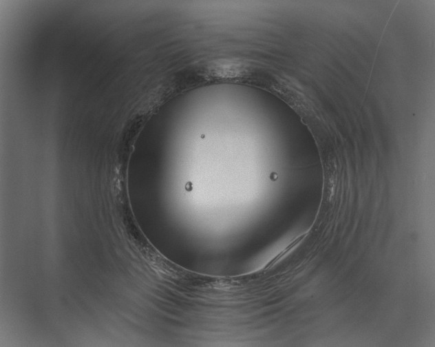 X0000073700555200608241420