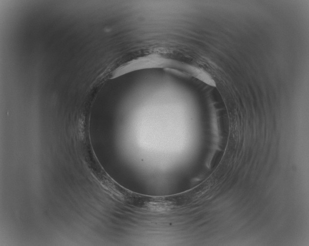 X0000073700556200608241420