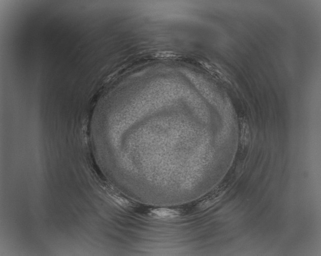 X0000073700557200608241420