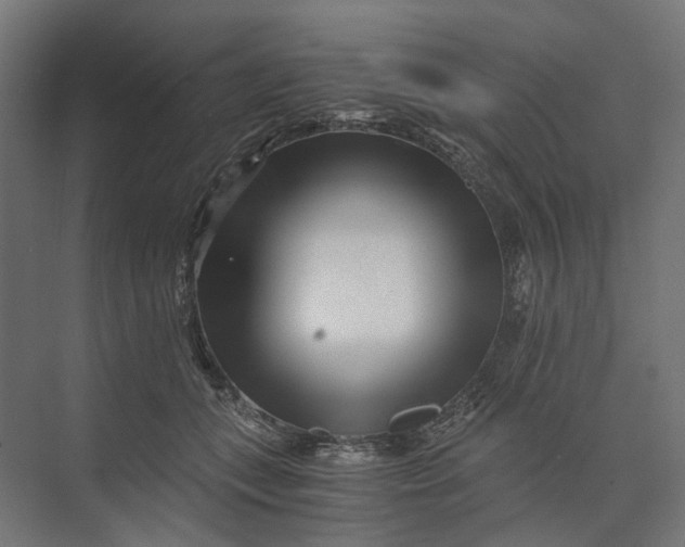 X0000073700559200608241420