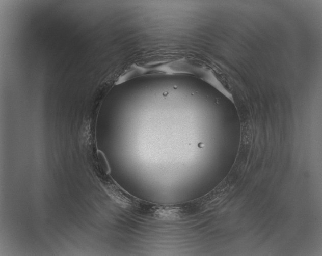 X0000073700560200608241420