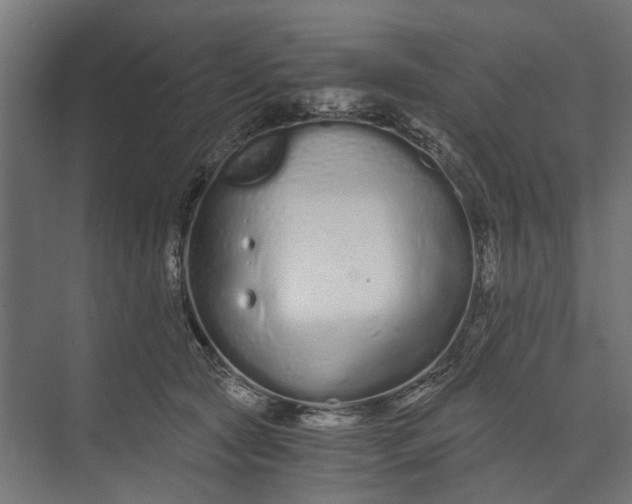 X0000073700561200608241420