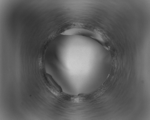 X0000073700564200608241420