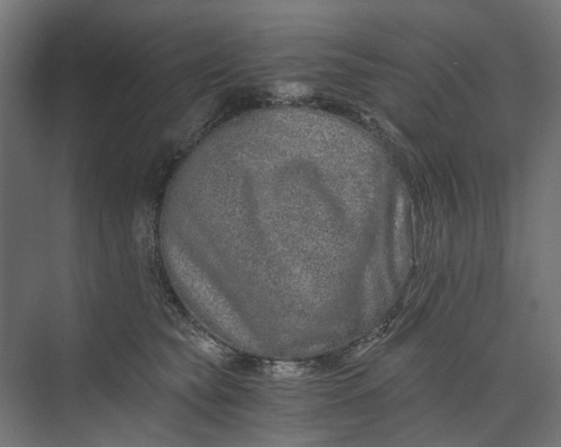 X0000073700565200608241420