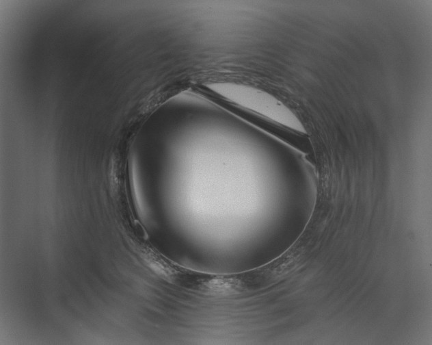 X0000073700566200608241420