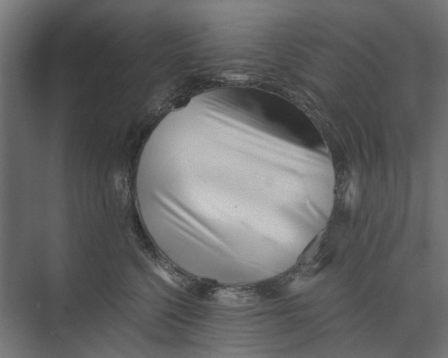 X0000073700568200608241420