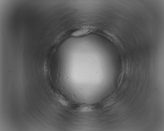 X0000073700569200608241420