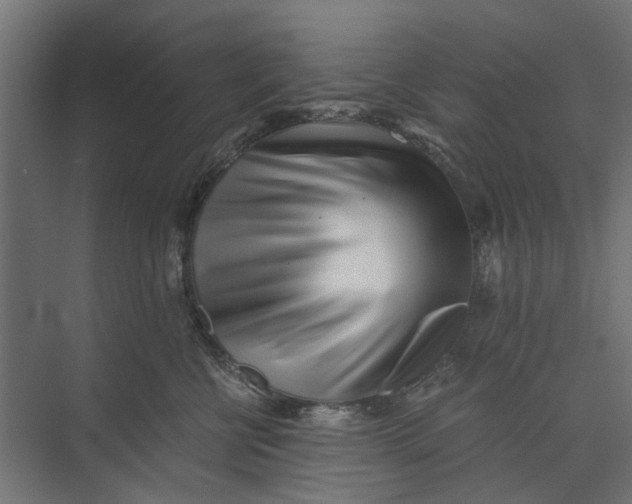 X0000073700570200608241420