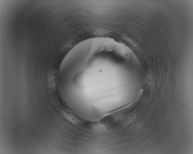 X0000073700572200608241420