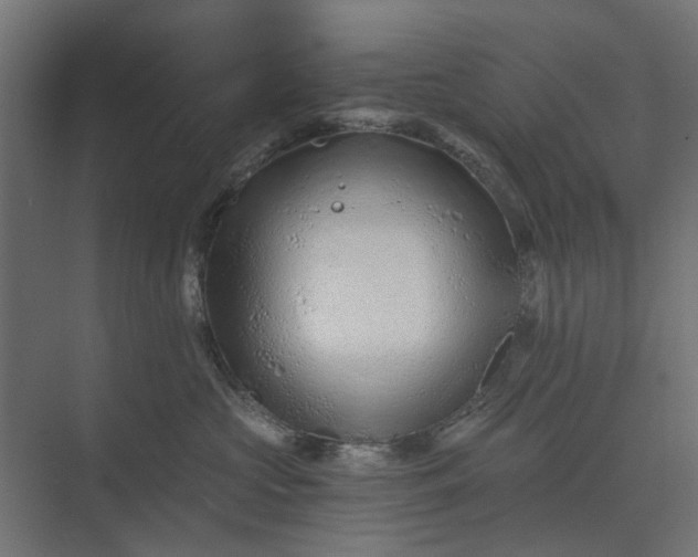 X0000073700573200608241420