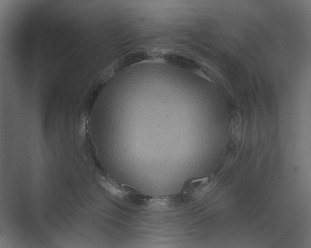 X0000073700574200608241420