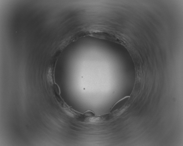 X0000073700575200608241420