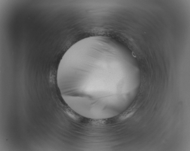 X0000073700576200608241420