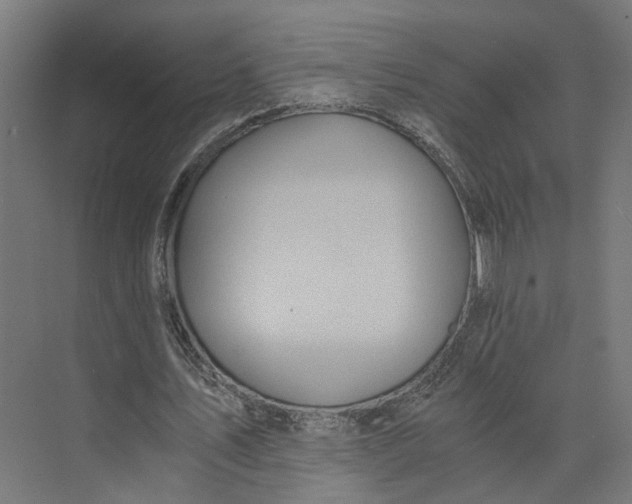 X0000073700579200608241419