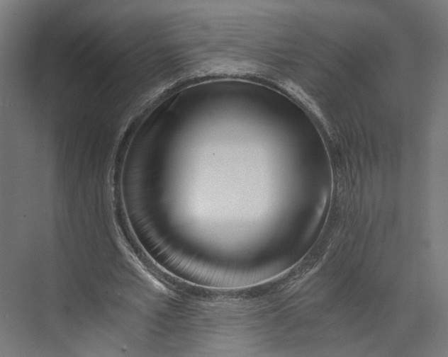 X0000073700581200608241419