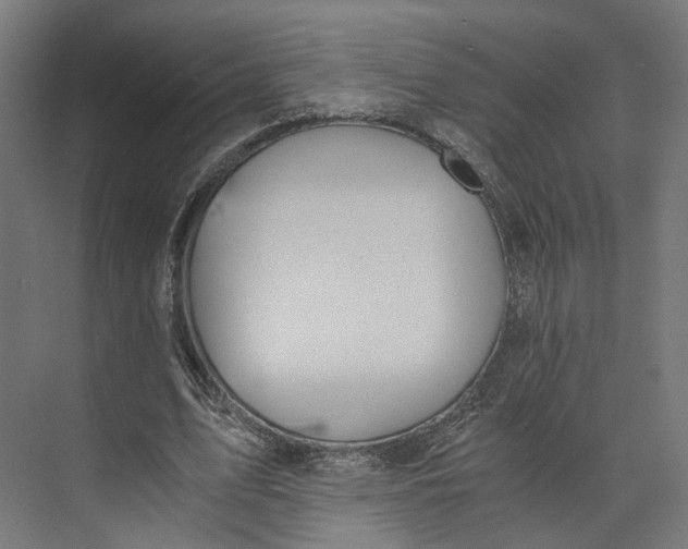 X0000073700583200608241419