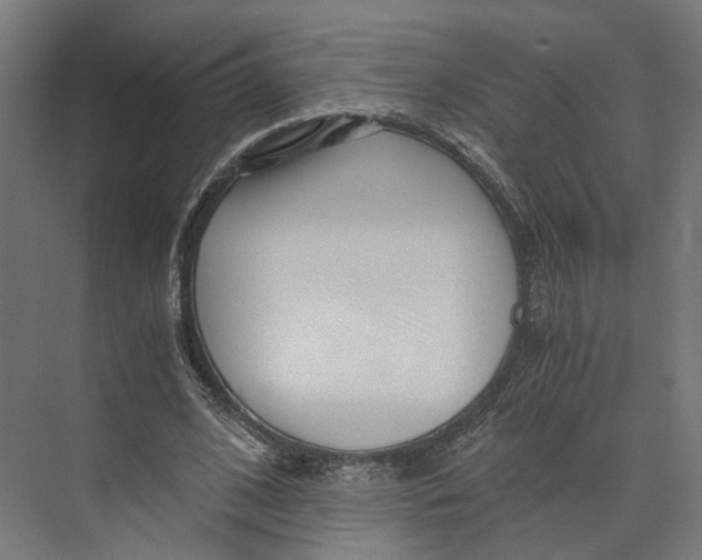 X0000073700584200608241419