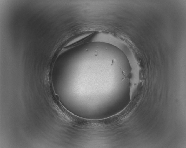 X0000073700585200608241419