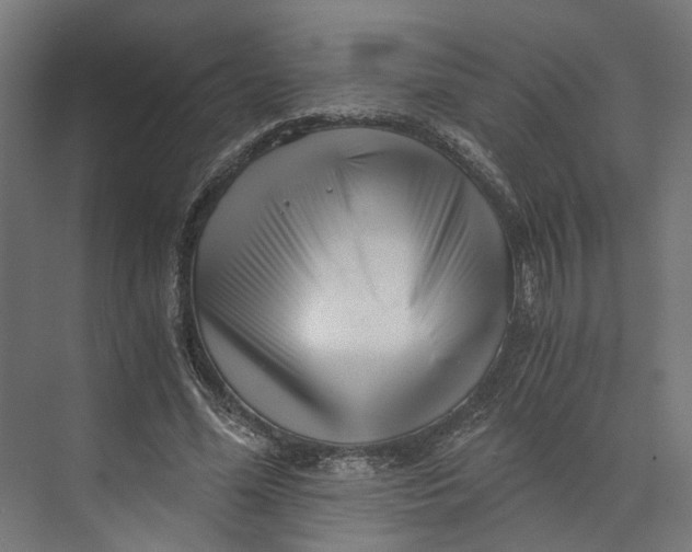 X0000073700588200608241419