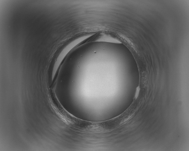 X0000073700589200608241419