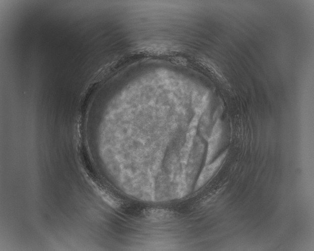 X0000073700590200608241419