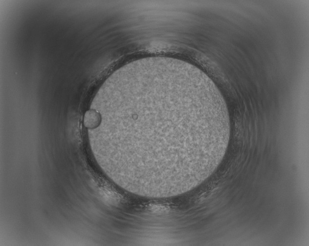 X0000073700592200608241419