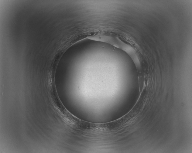 X0000073700593200608241419