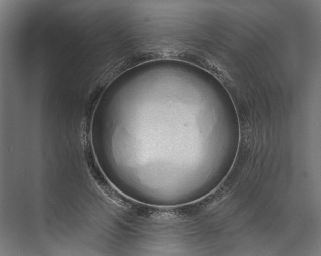 X0000073700594200608241419