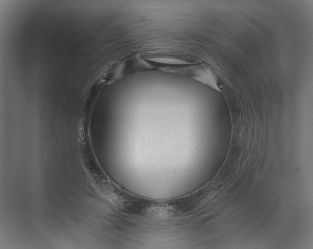 X0000073700595200608241419