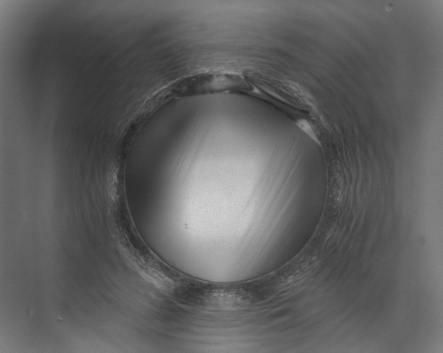 X0000073700596200608241419