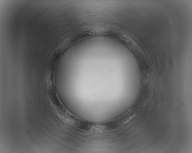 X0000073700599200608241419