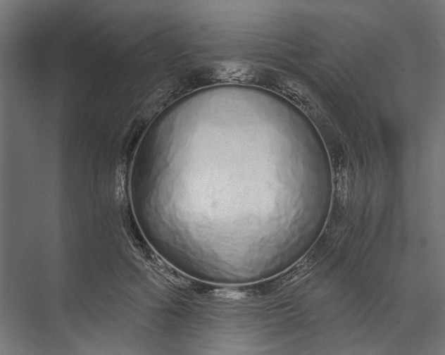 X0000073700602200608241419