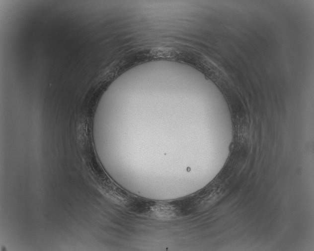 X0000073700603200608241419