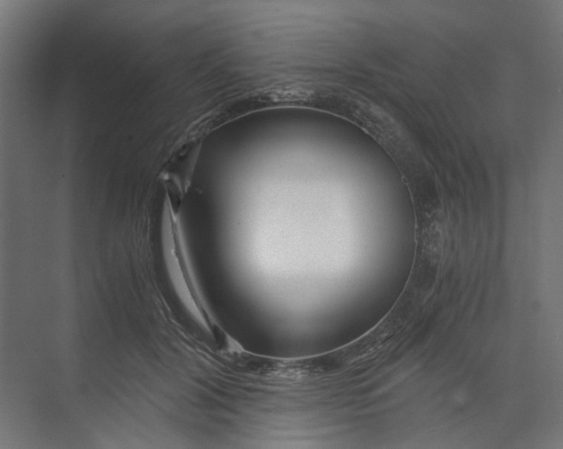 X0000073700604200608241419