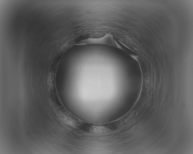 X0000073700605200608241419