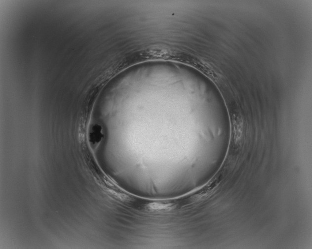 X0000073700606200608241419