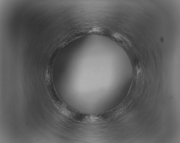 X0000073700607200608241419