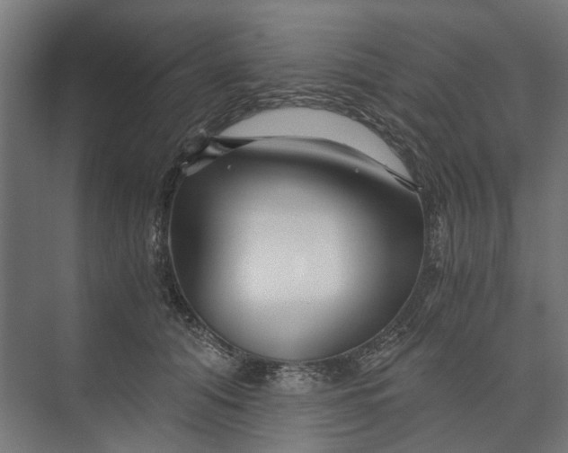 X0000073700608200608241419