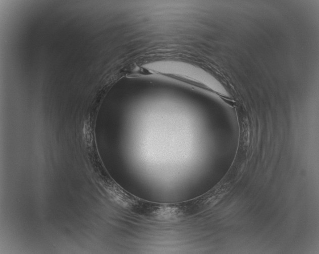 X0000073700609200608241419