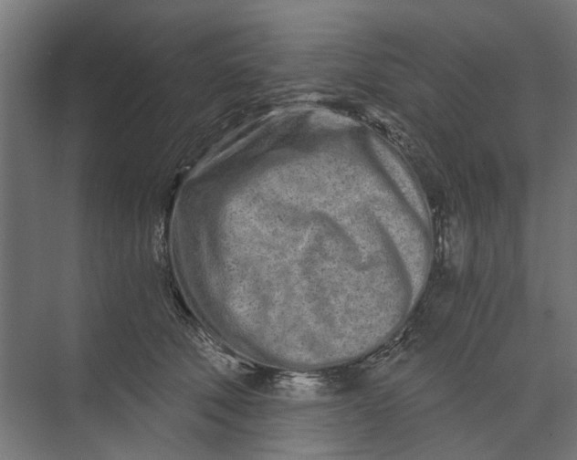 X0000073700610200608241419