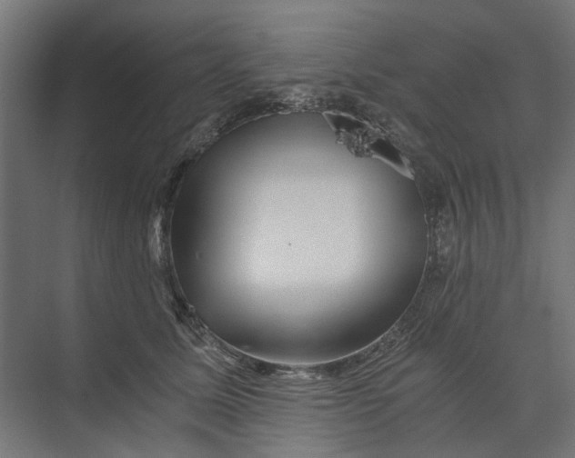 X0000073700611200608241419