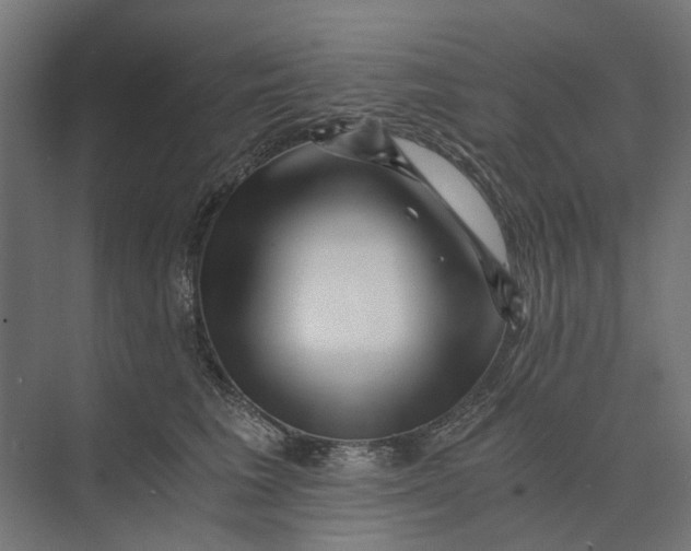 X0000073700613200608241419