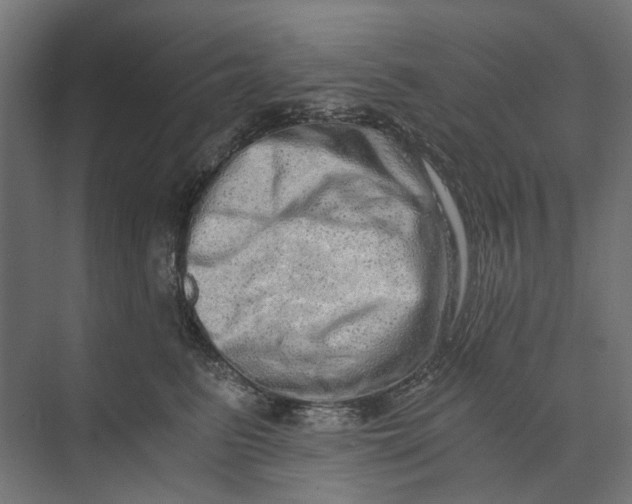 X0000073700615200608241419