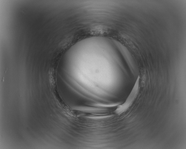 X0000073700616200608241419